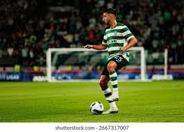 扑克思维的迁移价值（扑克思维的跨领域应用价值）