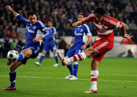 职业精神的 职业精神的